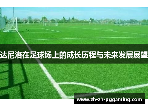 达尼洛在足球场上的成长历程与未来发展展望